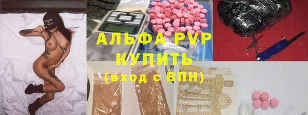 ГАЛЛЮЦИНОГЕННЫЕ ГРИБЫ Дмитриев