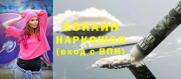 ГАЛЛЮЦИНОГЕННЫЕ ГРИБЫ Дмитриев