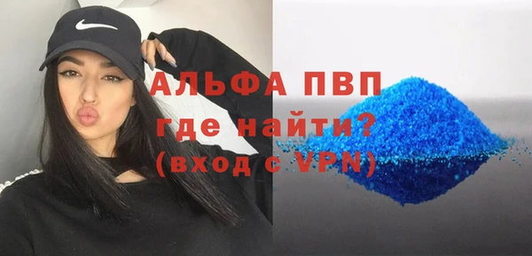 ГАЛЛЮЦИНОГЕННЫЕ ГРИБЫ Дмитриев