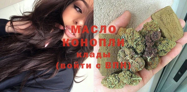 ГАЛЛЮЦИНОГЕННЫЕ ГРИБЫ Дмитриев