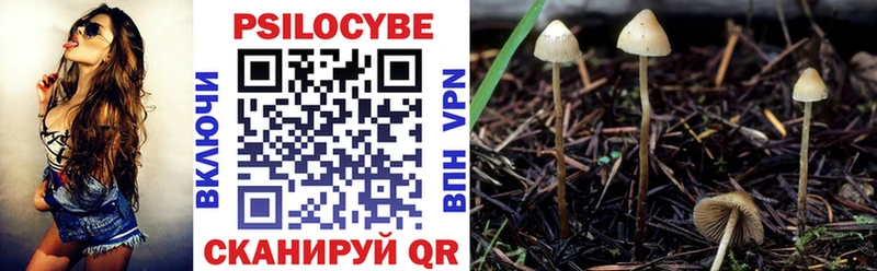 Галлюциногенные грибы MAGIC MUSHROOMS  Рыбинск 